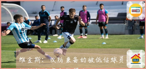 维金斯：攻防兼备的被低估球员，他既能防守也能得分