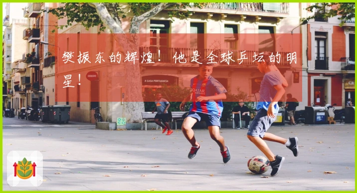 樊振东的辉煌！他是全球乒坛的明星！